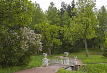 Similar image 22094548