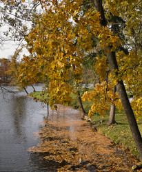 Similar image 22094554