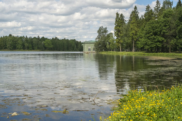 Similar image 22094568