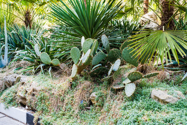 Similar image 22108965