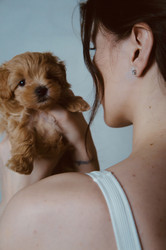 Similar image 22093676