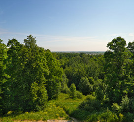 Similar image 22094445