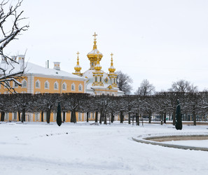 Similar image 22094450