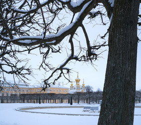 Similar image 22094619