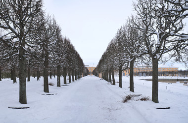 Similar image 22094627