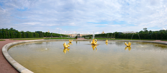 Similar image 22094629