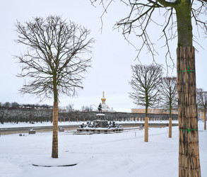 Similar image 22094634