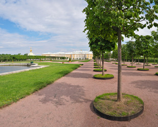 Similar image 22094638