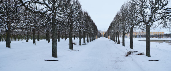 Similar image 22094642