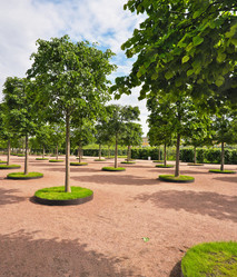 Similar image 22094643