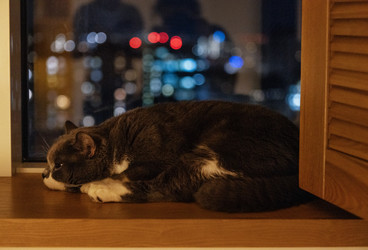 Similar image 22097911