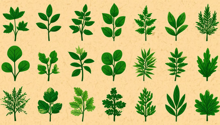 Similar image 22093679