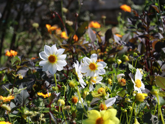 Similar image 22105910