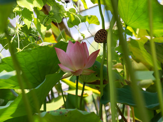 Similar image 22105911