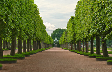 Similar image 22094659