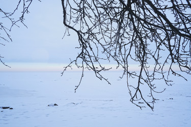 Similar image 22094994