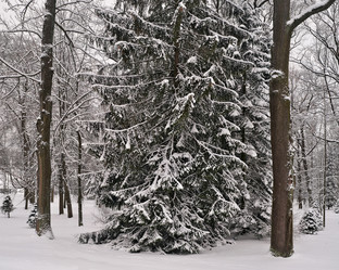 Similar image 22095000