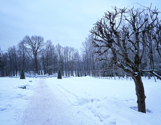 Similar image 22095004