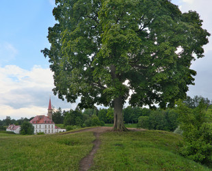 Similar image 22095015