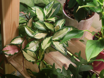 Similar image 22099710