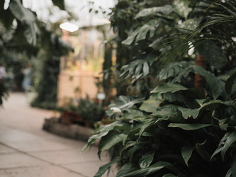 Similar image 22099720