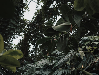 Similar image 22099729