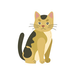 Similar image 22117698