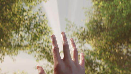 Similar image 22106369