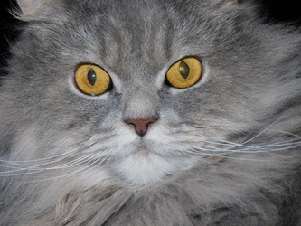 Similar image 22100884