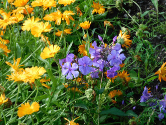 Similar image 22105914