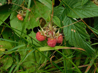 Similar image 22105915