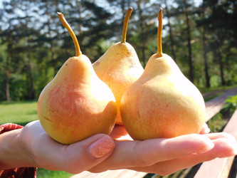 Similar image 22105916