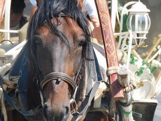 Similar image 22108967