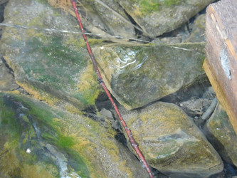 Similar image 22108969