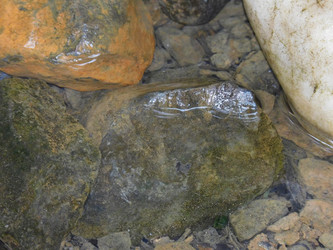 Similar image 22108970