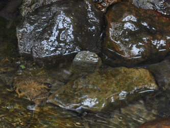 Similar image 22108971