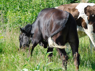 Similar image 22108974