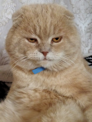 Similar image 22108975