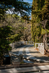 Similar image 22100885