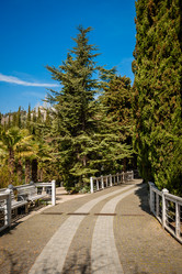 Similar image 22100886