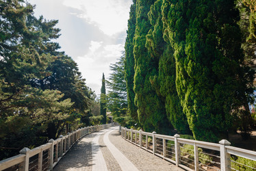 Similar image 22100891