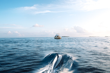 Similar image 22097970