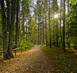 Similar image 22094682