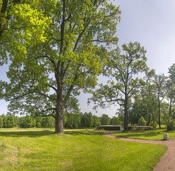 Similar image 22094684