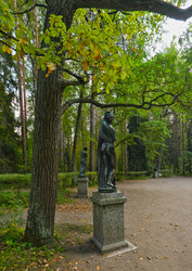 Similar image 22094704