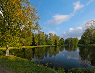 Similar image 22094709