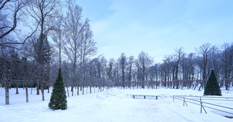 Similar image 22094716