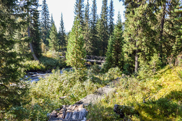 Similar image 22095670