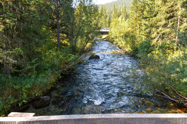 Similar image 22095730