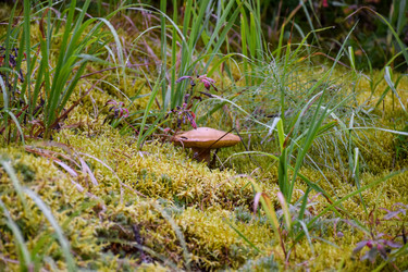 Similar image 22095733